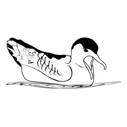 Great Shearwater 2 Free Coloring Page for Kids