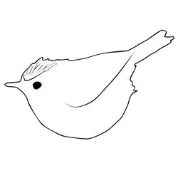 Firecrest 1 Free Coloring Page for Kids