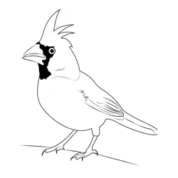 Cardinal 8 Free Coloring Page for Kids