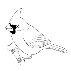 Cardinal Birds 2 Free Coloring Page for Kids