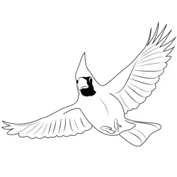 Cardinal Flying Free Coloring Page for Kids
