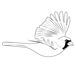 Cardinal In Flight Free Coloring Page for Kids