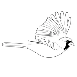 Cardinal In Flight Free Coloring Page for Kids