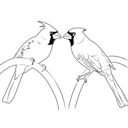 Cardinal Love Free Coloring Page for Kids