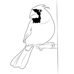 Cardinal On Bird Feeder Free Coloring Page for Kids