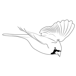 Flying Northern Cardinal Free Coloring Page for Kids