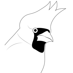 Northern Cardinal Face Free Coloring Page for Kids