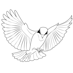 Red Bird Flying Free Coloring Page for Kids