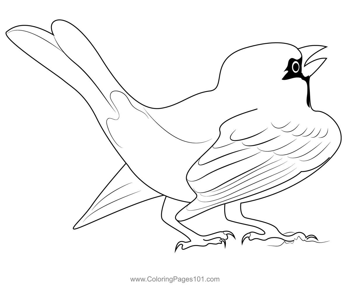 Sparrow 6 Coloring Page for Kids Free Sparrows Printable Coloring