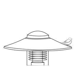 Sparrow Sitting On Lantern Free Coloring Page for Kids