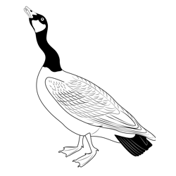 A Canada Goose Free Coloring Page for Kids