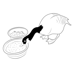 A Goose Drinks From A Food Bowl Free Coloring Page for Kids