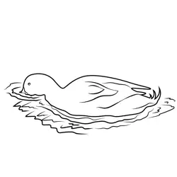 A Swan Swims In Lake Free Coloring Page for Kids