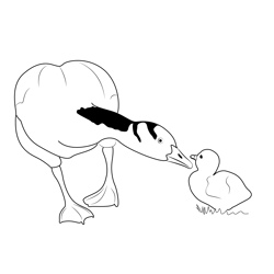 Bar Headed Goose Free Coloring Page for Kids