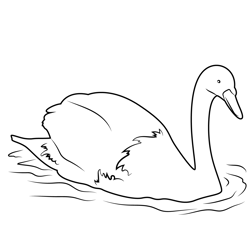 Printable Pictures Of Swans