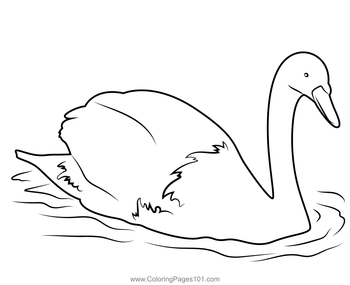 Beautiful Swan In Water Coloring Page for Kids - Free Swans and Geese ...