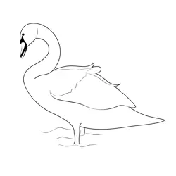 Beautiful Swan Free Coloring Page for Kids