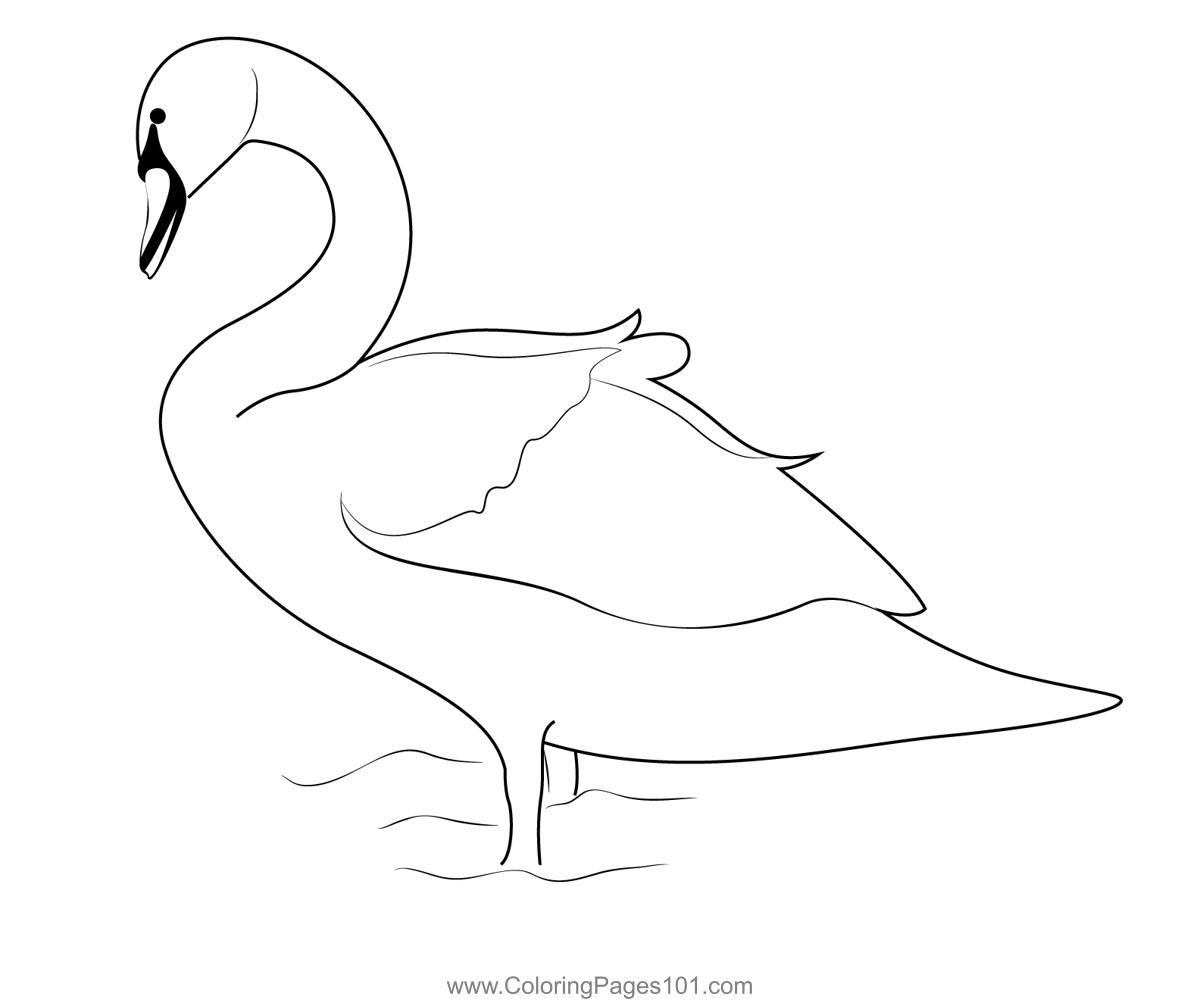 Beautiful Swan Coloring Page for Kids - Free Swans and Geese Printable ...
