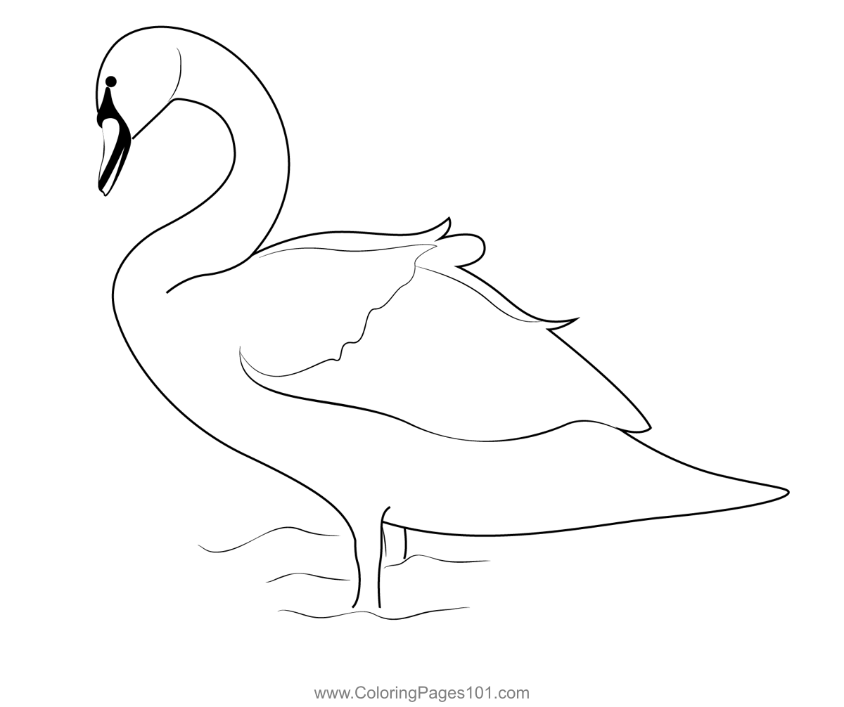 Beautiful Swan Coloring Page for Kids - Free Swans and Geese Printable