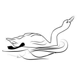 Bewick's Swan 2 Free Coloring Page for Kids
