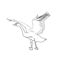 Bewick's Swan 3 Free Coloring Page for Kids