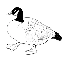 Big Canada Goose Free Coloring Page for Kids