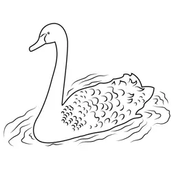 Black Swan Free Coloring Page for Kids