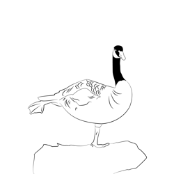 Canada Goose 10 Free Coloring Page for Kids