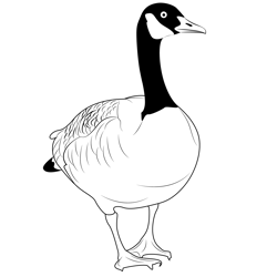 Canada Goose Free Coloring Page for Kids