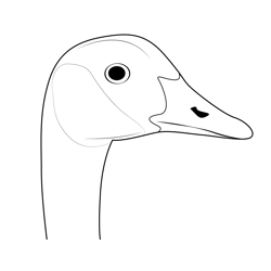 Canada Goose Face Free Coloring Page for Kids