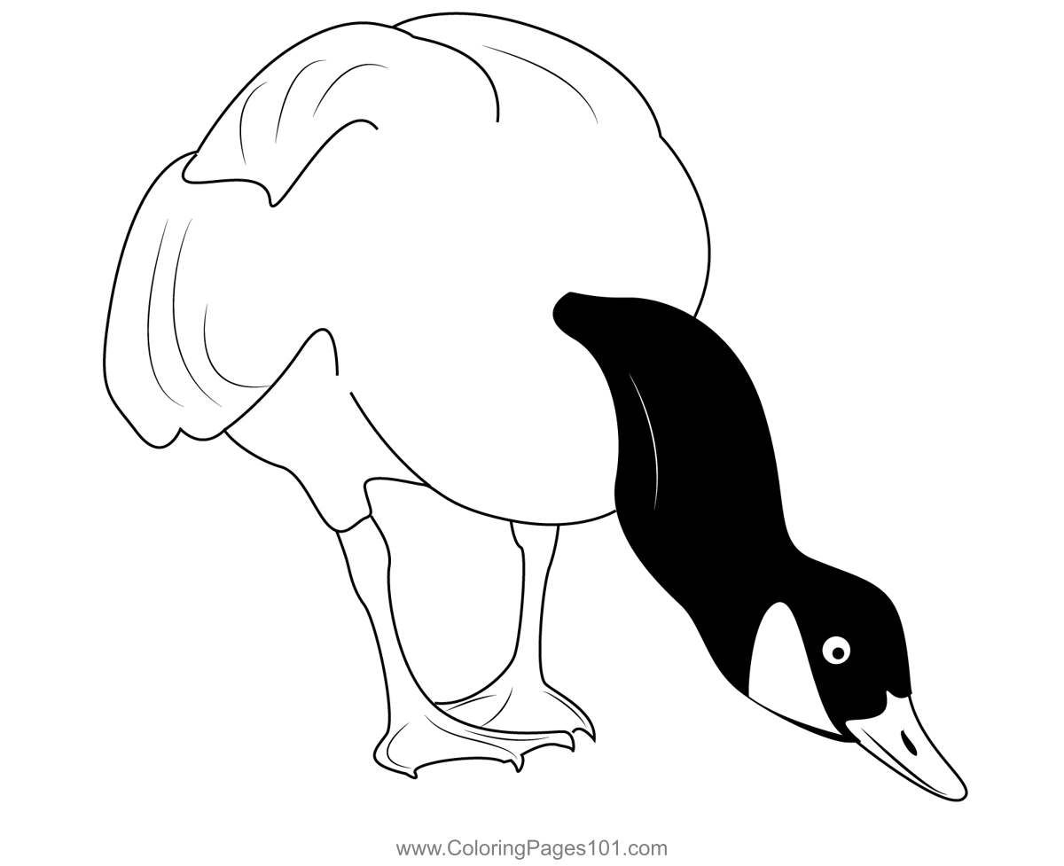 Canada Goose Coloring Page for Kids - Free Swans and Geese Printable