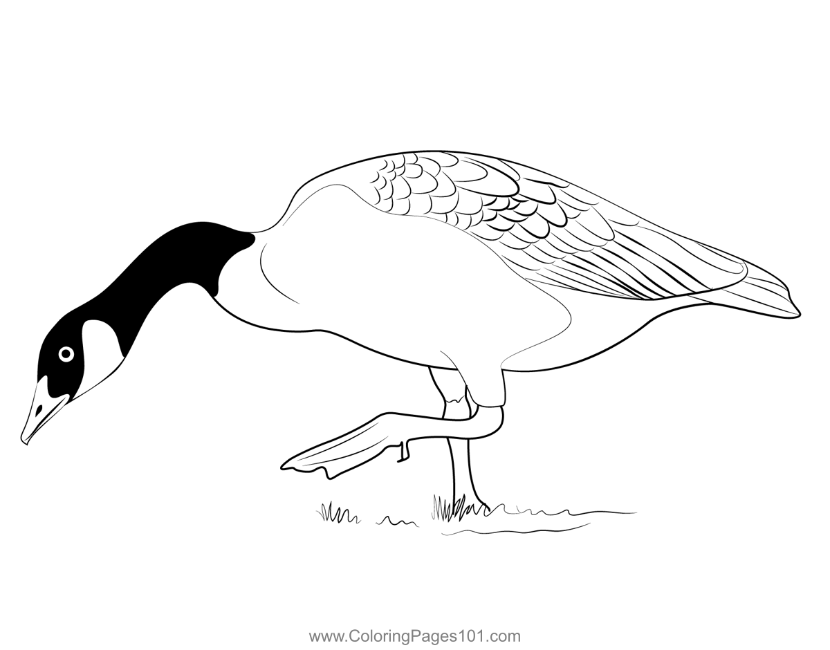 Canada Goose Coloring Page for Kids - Free Swans and Geese Printable