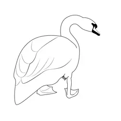 Cute Swan Free Coloring Page for Kids
