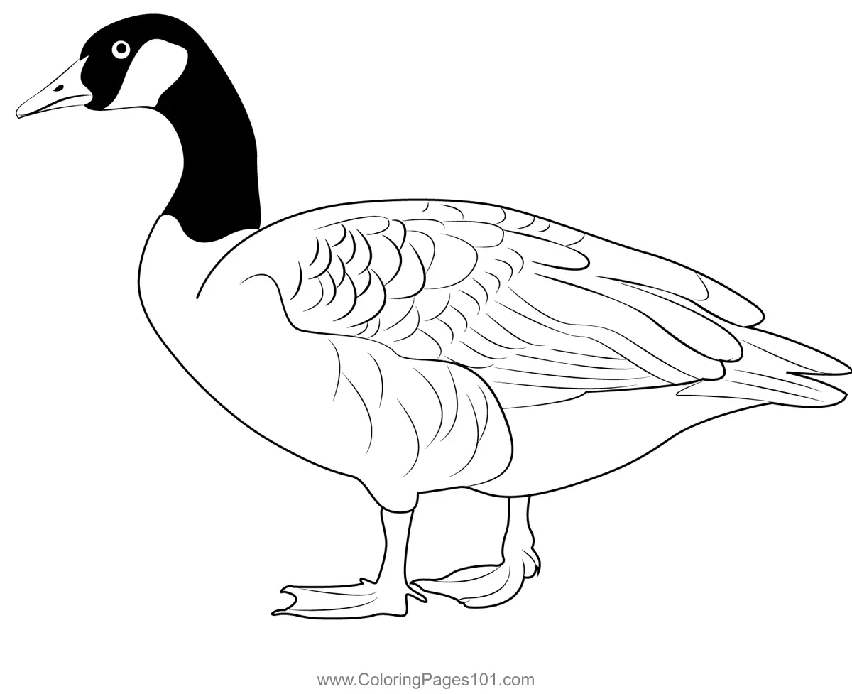 Domestic Goose Coloring Page for Kids - Free Swans and Geese Printable ...