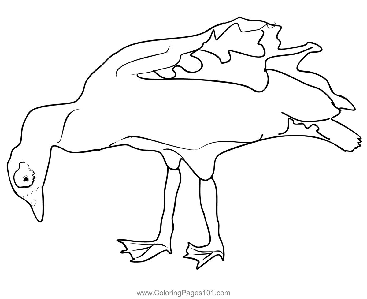 Egyptian Goose 2 Coloring Page for Kids - Free Swans and Geese ...