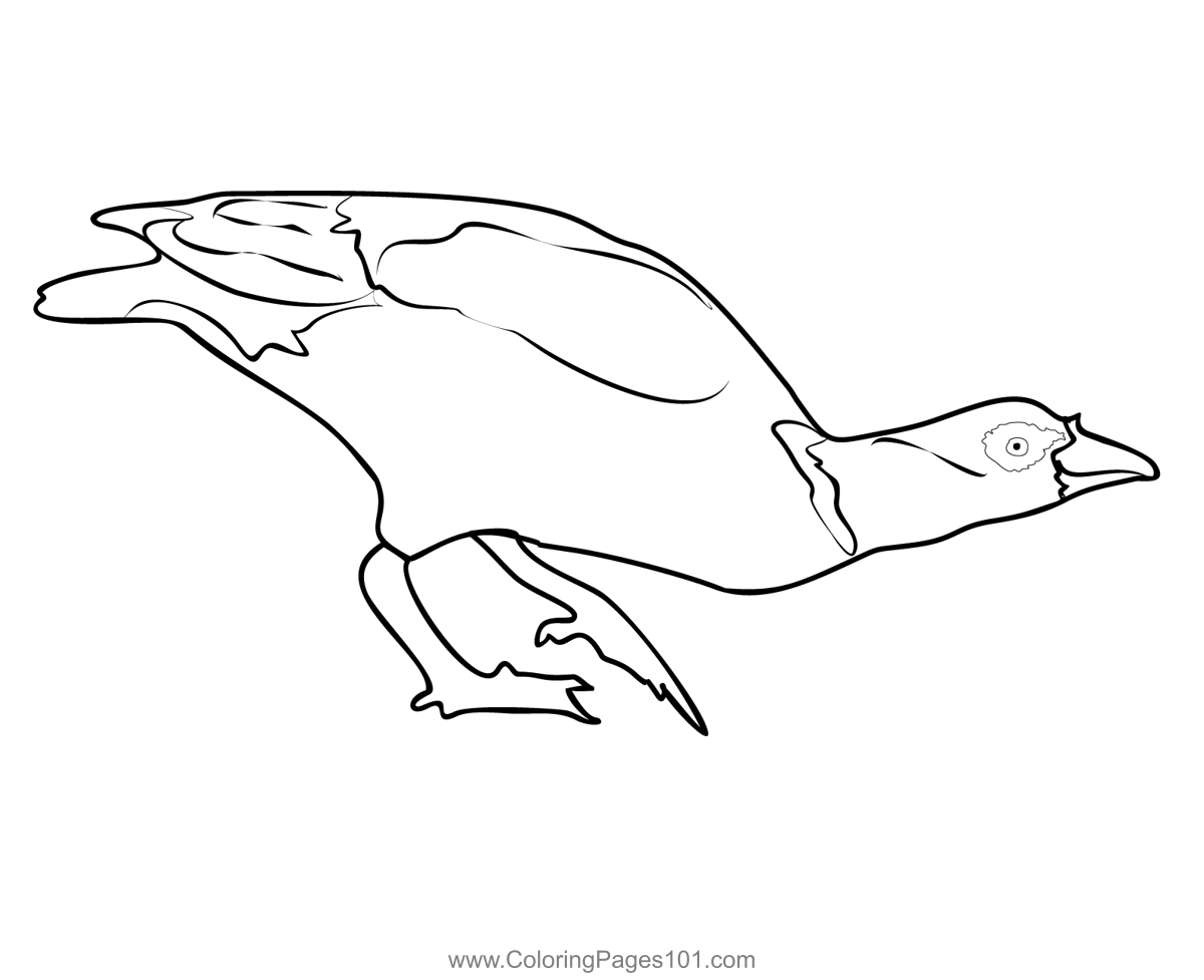 Egyptian Goose 3 Coloring Page for Kids - Free Swans and Geese ...