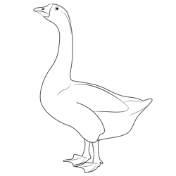 Goose 1 Free Coloring Page for Kids