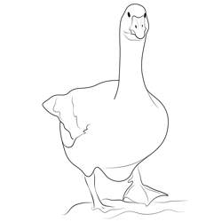 Goose 2 Free Coloring Page for Kids