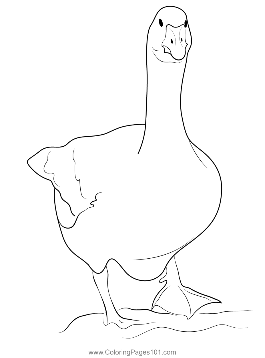 Goose 2 Coloring Page for Kids - Free Swans and Geese Printable ...