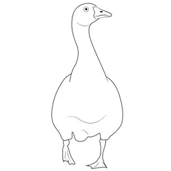 Goose 3 Free Coloring Page for Kids