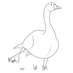 Goose 4 Free Coloring Page for Kids