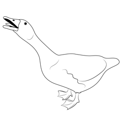 Goose 5 Free Coloring Page for Kids