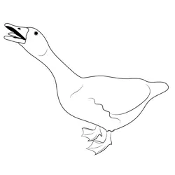 Goose 5