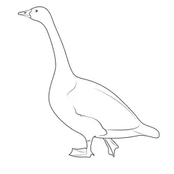 Goose Free Coloring Page for Kids