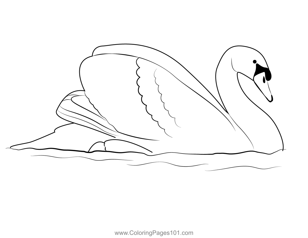 Graceful White Swan Coloring Page for Kids - Free Swans and Geese ...