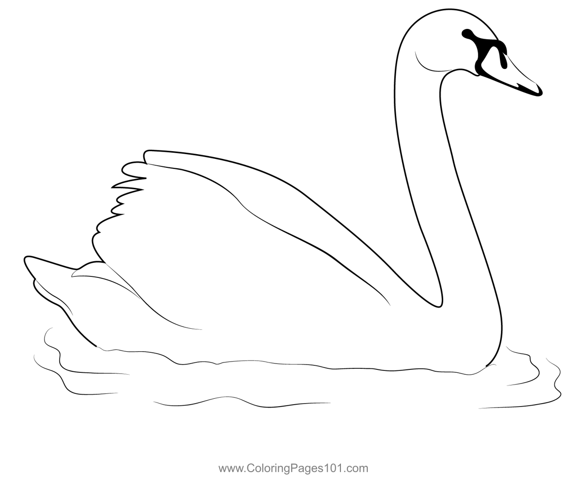 Swan Swim Coloring Page for Kids - Free Swans and Geese Printable ...