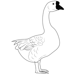 Mystery Exotic Goose Free Coloring Page for Kids