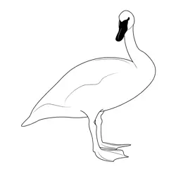Stand Swan Free Coloring Page for Kids