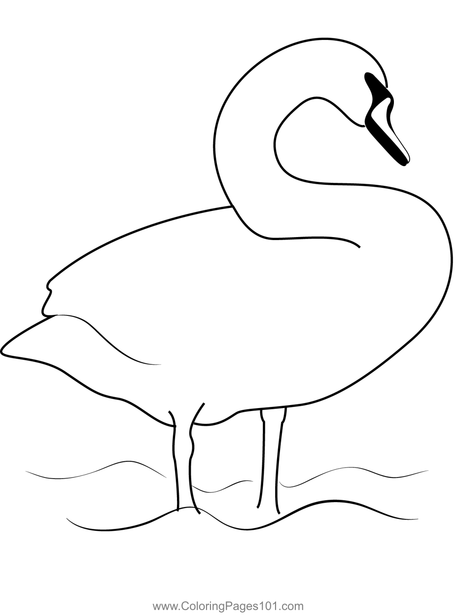 Swan 3 Coloring Page for Kids - Free Swans and Geese Printable Coloring  Pages Online for Kids  | Coloring Pages for Kids