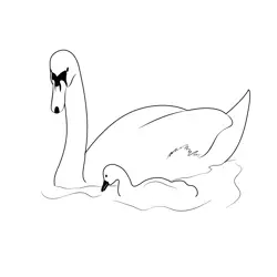 Swan 4 Free Coloring Page for Kids
